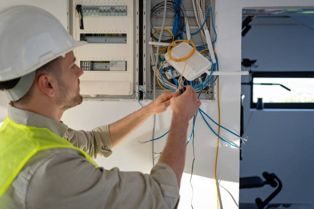 Best Electric Panel Repair  in Horicon, WI